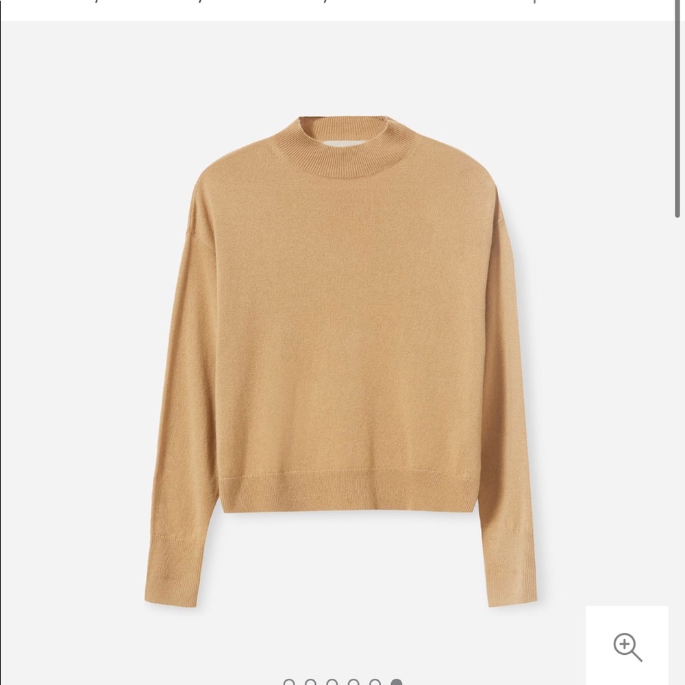 Everlane Cashmere Mockneck Sweater